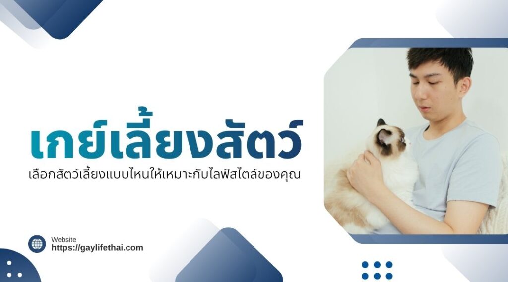 เกย์เลี้ยงสัตว์ เลือกสัตว์เลี้ยงแบบไหนให้เหมาะกับไลฟ์สไตล์ของคุณ