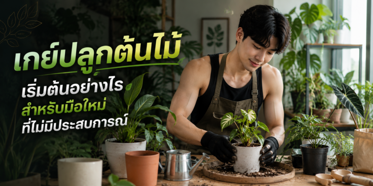 เกย์ปลูกต้นไม้ เริ่มต้นอย่างไรสำหรับมือใหม่ที่ไม่มีประสบการณ์